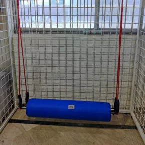 Disc Swing